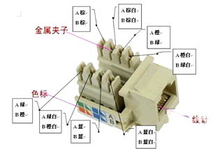 网线插口与水晶头接法详解 标准一致，但应用有别